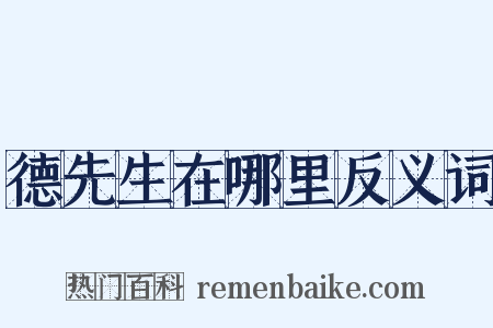 德先生在哪里反义词是什么意思的图片